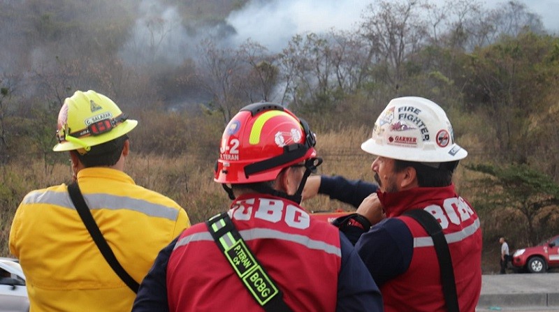Un incendio forestal declarado la tarde del sábado 5 de noviembre se extendió por más de 24 horas en Cerro Azul, al noroeste de Guayaquil. Foto: Cortesía Bomberos de Guayaquil