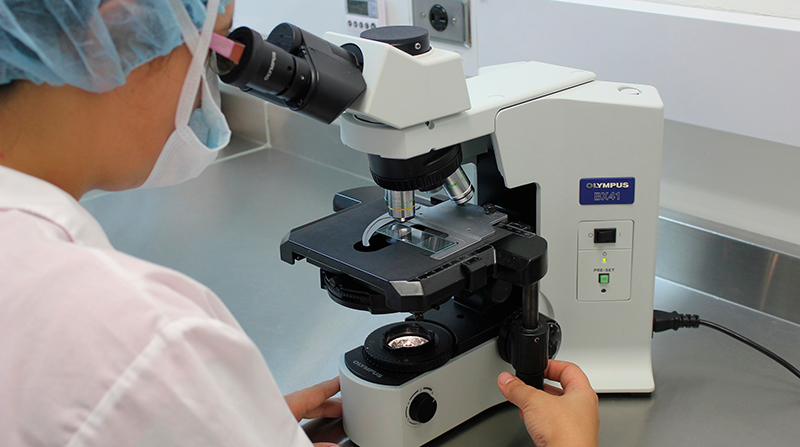 Imagen referencial. Los investigadores probaron el HA15 en ratones modificados genéticamente y descubrieron que el fármaco reducía en gran medida la carga viral pulmonar provocada por el coronavirus. Foto: Pixabay