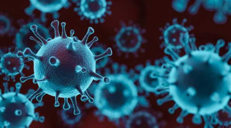 Imagen referencial. Nuevas variantes de coronavirus siguen apareciendo. Foto: Freepik