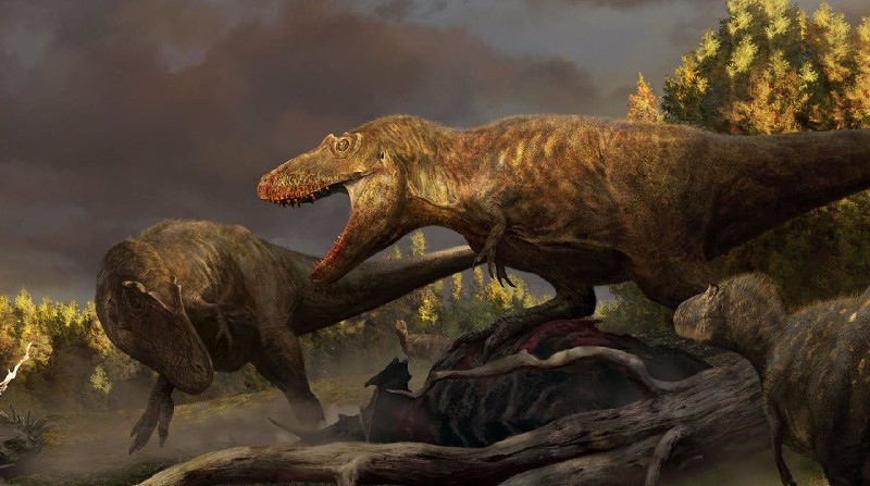 Esta pintura de los cuatro especímenes de tiranosaurio descubiertos por el Museo de Dinosaurios de Badlands por el paleoartista Rudolf Hima. Foto: Dickinson Museum Center