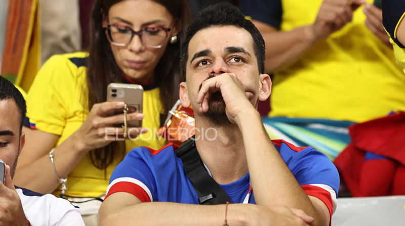 Los hinchas apoyaron a la Selección de Ecuador, en el partido contra Senegal, en el partido del Mundial Qatar 2022. Foto: Diego Pallero/ EL COMERCIO