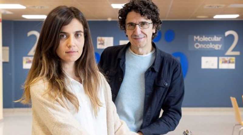 Los investigadores Marcos Malumbres y Carolina Villarroya-Beltri, del CNIO. Foto: EFE