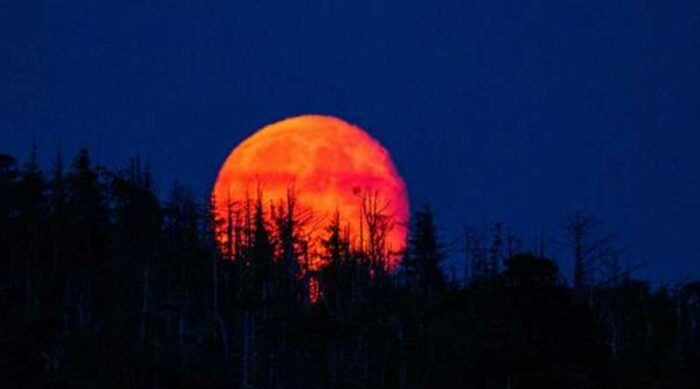 Imagen referencial. Un nuevo eclipse de luna roja ocurrirá en 2025. Foto: Internet