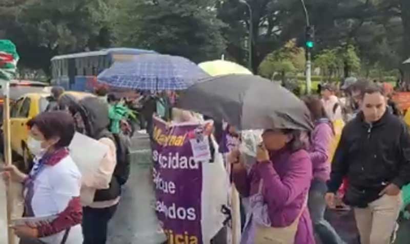 La marcha por el Día Internacional de la Eliminación de la Violencia contra la Mujer finalizó en el Centro de Quito.
