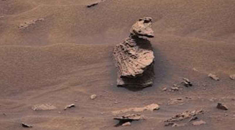 Nuevas imágenes de Marte muestran rocas en formas de animales. Foto: Cortesía
