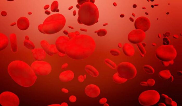 Imagen referencial. La hemofilia es un trastorno en la coagulación sanguínea y afecta principalmente a los hombres. Foto: Pixabay