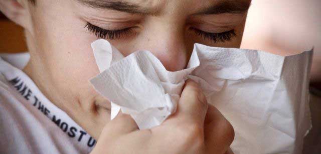 Imagen referencial. El virus sincitial causa infección de los pulmones y en el aparato respiratorio. Foto: Pixabay