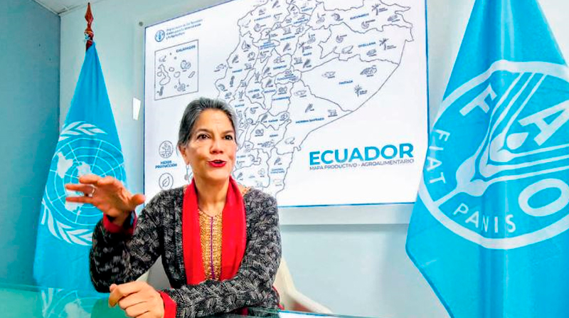 Eve Crowley representante de la FAO en ecuador. Foto: Diego Ortiz / EL COMERCIO