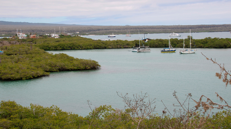 En 1978, la Unesco declaró como Patrimonio Natural de la Humanidad a las Islas Galápagos. Foto: EFE