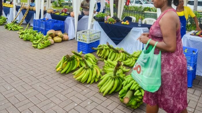 Imagen referencial. El presidente Manuel López anunció que el banano y camarón quedarán fuera del acuerdo comercial entre México y Ecuador. El Gobierno ecuatoriano dijo que no se firmará con esa exclusión. Foto: Twitter Gobernación de Esmeraldas