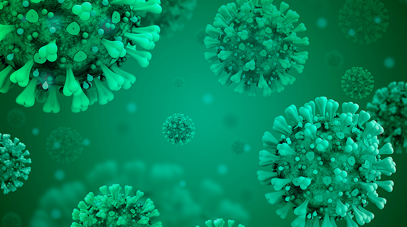 Imagen referencial. A finales de 2022 hay constancia de brotes epidémicos de al menos otras seis infecciones humanas. Foto: Pixabay