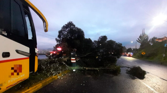 Según informa el Cuerpo de Bomberos de Quito, un bus perdió pista e impactó contra un árbol en la Avenida Simón Bolívar. Foto: Twitter / Cuerpo de Bomberos de Quito