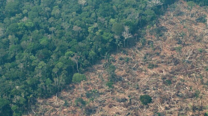Vista aérea de zonas deforestadas de la selva amazónica de Porto Velho, Rondonia (Brasil) con el lado derecho calcinado por los incendios. Foto: EFE.