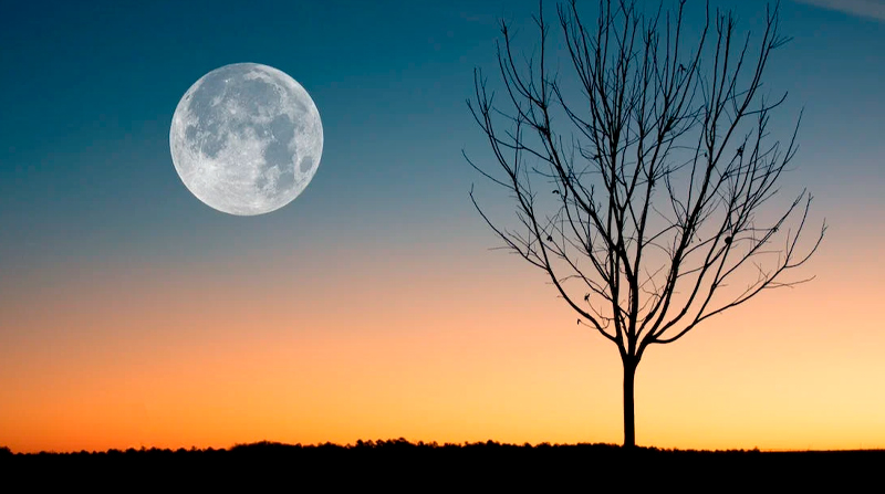 Imagen referencial. La primera Luna llena de 2023 se podrá ver este viernes 6 de enero. Foto: Pexels