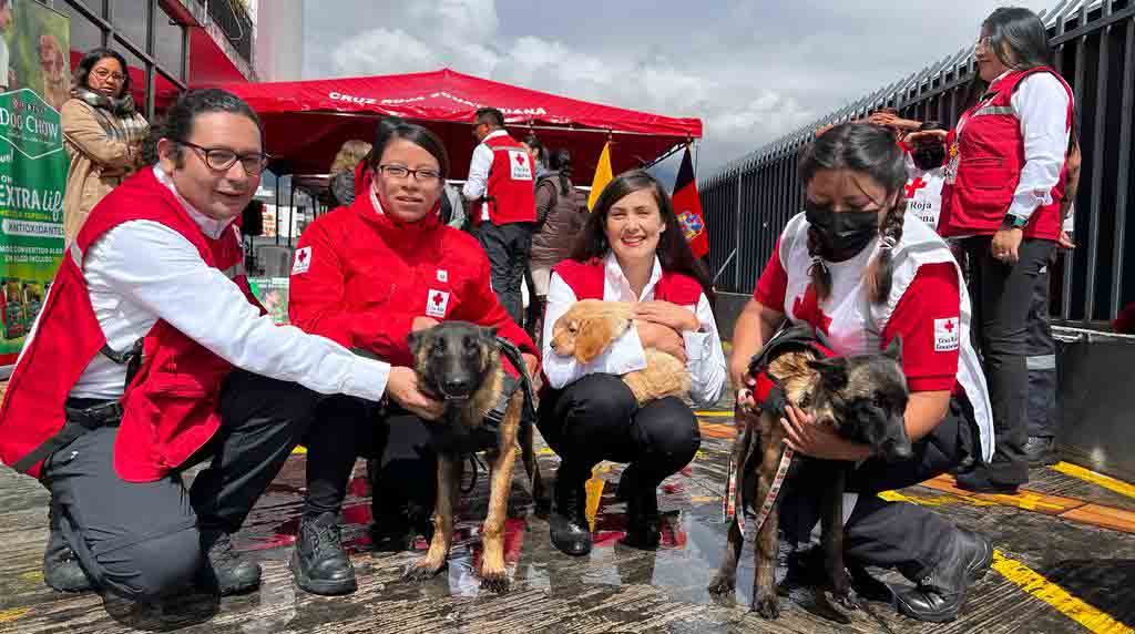 Tres nuevos perros se sumaron al equipo de la Cruz Roja de Pichincha. Serán entrenados para rescate y terapias. Foto: Patricio Terán / EL COMERCIO