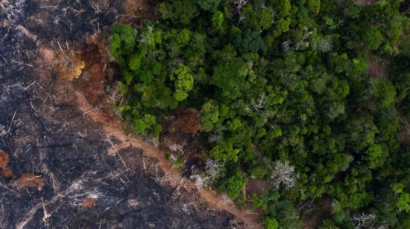 Tres países formarán parte del fondo por la Amazonía, con el fin de mitigar los impactos del cambio climático. Foto: Internet