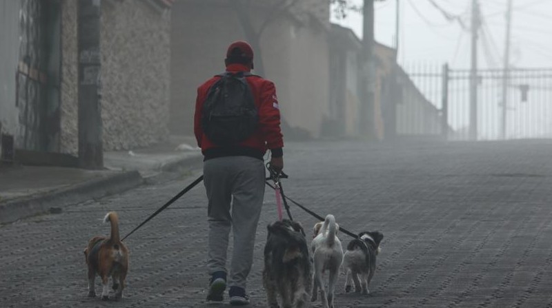En Quito, se estima que las lluvias sean persistentes y se presente niebla este 3 de enero de 2022. Foto: Diego Pallero/ EL COMERCIO