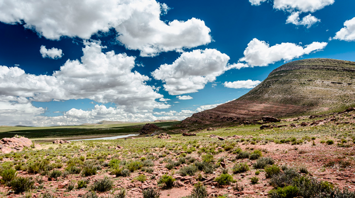 Imagen referencial. Desierto de Arizona en Estados Unidos. Foto: Pixabay