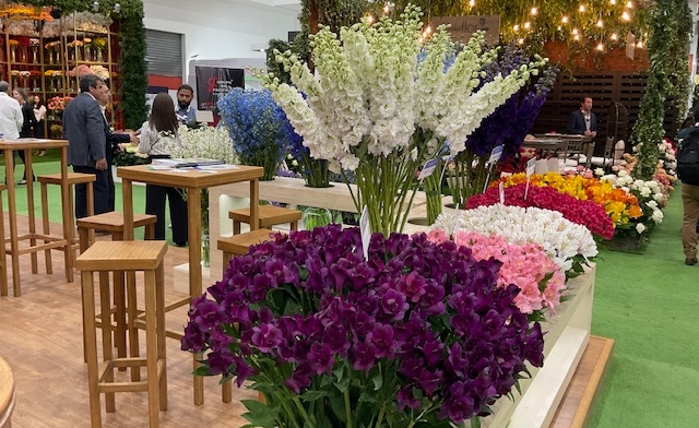 Una variedad de flores de las diferentes fincas exportadoras se presentó en la feria Expoflor, que se desarrolló en octubre de 2022 en Quito: Foto: Betty Jumbo