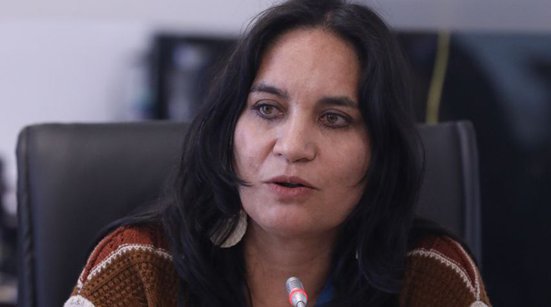 La presidenta de la Comisión, Mireya Pazmiño, explicó que las alertas para incluir a nuevos actores al control de la UAFE se prendieron en 2015. Foto: Twitter @AsambleaEcuador