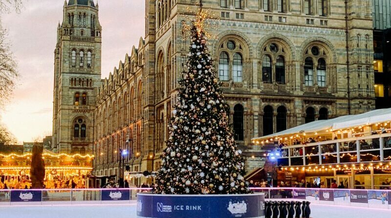 Imagen referencial. Los árboles de Navidad en Nueva York son reciclados como composta. Foto: Pexels.