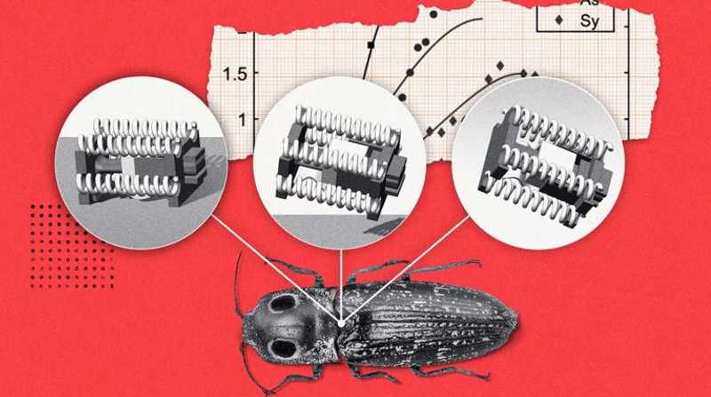 El profesor de ciencias mecánicas e ingeniería Sameh Tawfick ha dirigido un estudio en el que se presentan robots del tamaño de un escarabajo. Foto: EFE