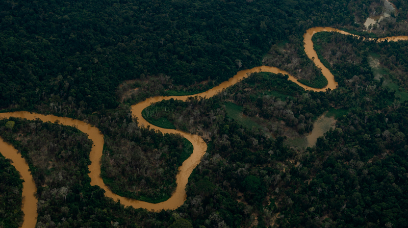 El río Mucajaí con un color amarillento debido a la presencia de minería ilegal. Foto: EFE