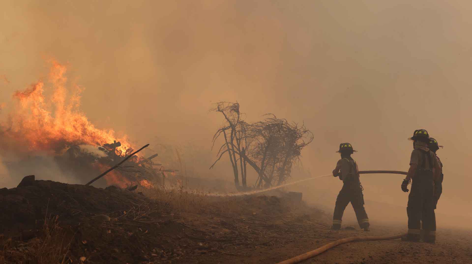 La UE envía a más de 250 efectivos a Chile para luchar contra los incendios. Foto: EFE