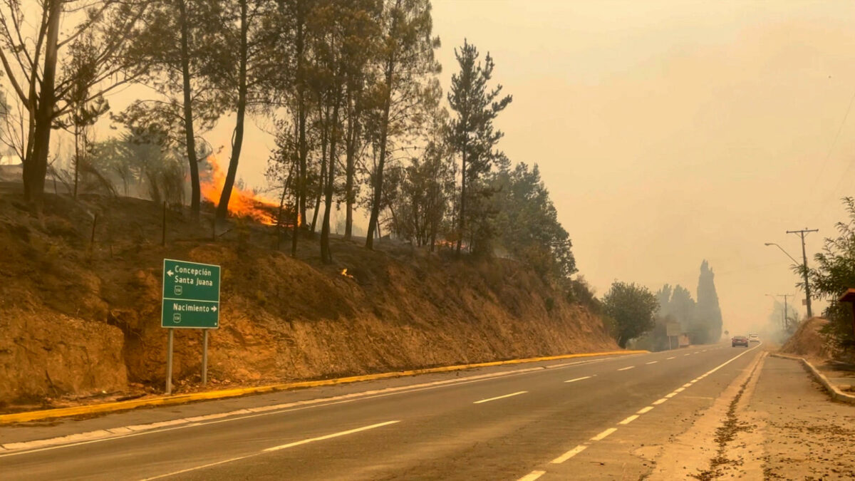 Fotografía de los incendios que afectan las regiones de Biobío y Ñuble (Chile). Foto: EFE