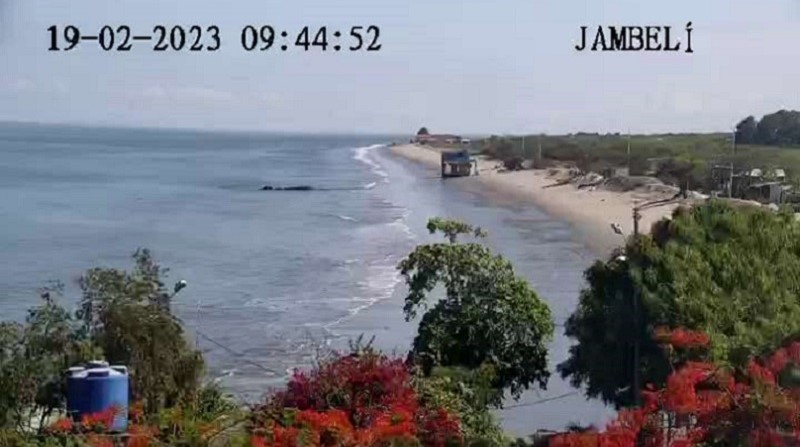 Monitoreo de playa de Jambelí