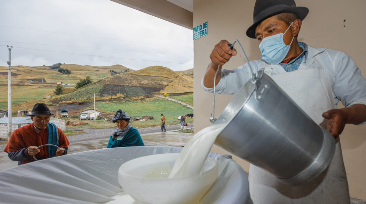 Los pequeños ganaderos entregan la leche para el Programa de Alimentación Escolar de Ecuador. Los productores de Cayambe son parte del plan y proveen a la empresa El Ordeño. Foto: Cortesía / El Ordeño