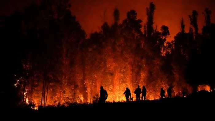 Los incendios forestales causan evacuaciones preventivas. Foto: Cortesía