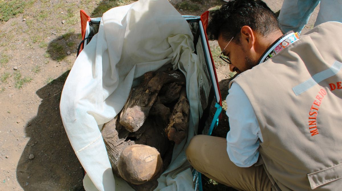 Restos de la momia encontrada. Foto: Dirección Desconcentrada de Cultura Puno