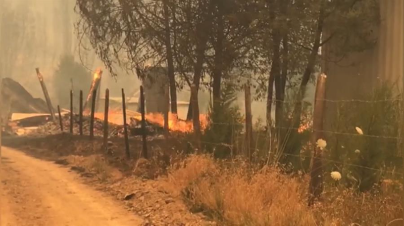Los incendios se han cobrado la vida de 25 personas y calcinado más de 400 000 hectáreas a lo largo de Chile. Foto: EFE
