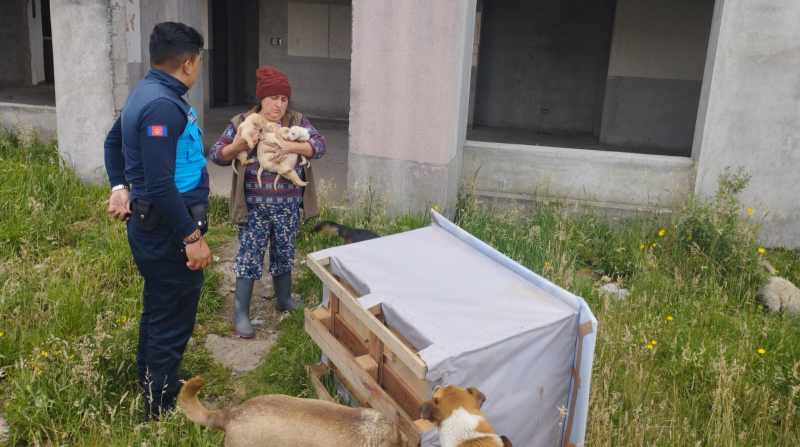 Ciudadanos denunciaron el abandono de cachorros en el sector de Oyacoto. Foto: Agencia de Control Quito