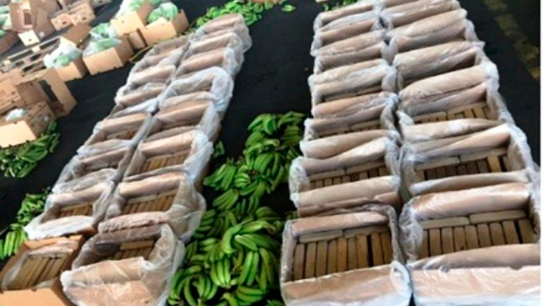 La mafia albanesa estuvo detrás del cargamento de droga hallado en la operación Avalancha 258, en mayo del 2019, en Puerto Bolívar, en donde se halló un contenedor de 30 cajas de banano con 388 paquetes de cocaína. Foto: Policía Nacional