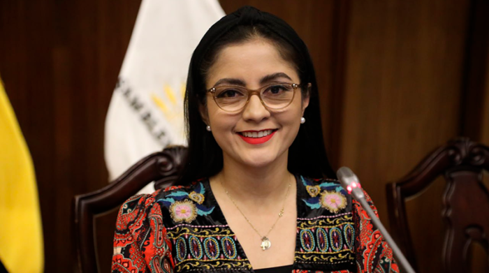 Viviana Veloz (Unes), presidenta de la Comisión Ocasional que investiga el caso Encuentro. Foto: Asamblea
