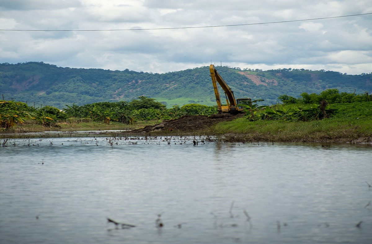 El río Chone es intervenido para evitar nuevas afectaciones a los cultivos que fueron afectados por las lluvias de invierno de inicios de marzo de 2023. Foto: cortesía.