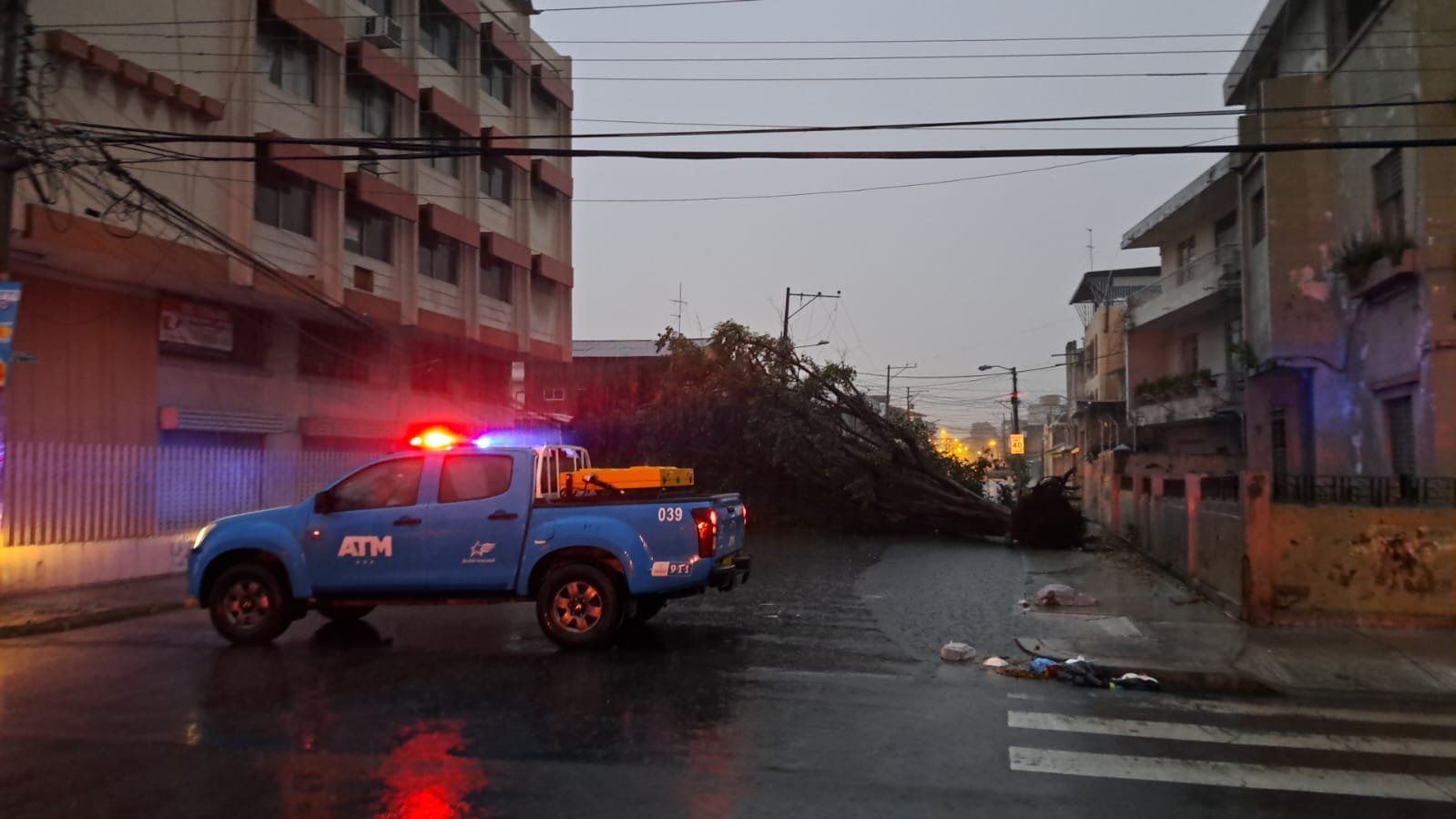 Un árbol cayó en las calles Andrés Marín y Clemente Ballén, norte de Guayaquil, por efecto de las lluvias. Foto: ATM