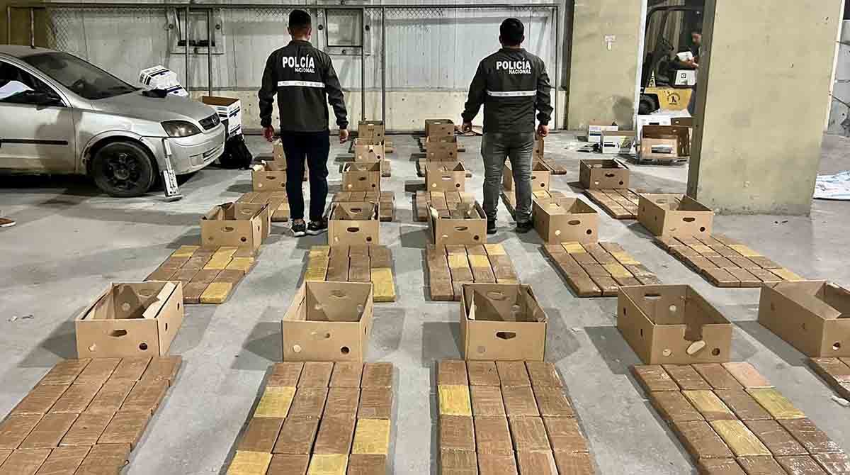 La Policía incautó más de 8 millones de dosis de drogas en tres provincias de Ecuador. Foto: Twitter @CmdtPoliciaEc
