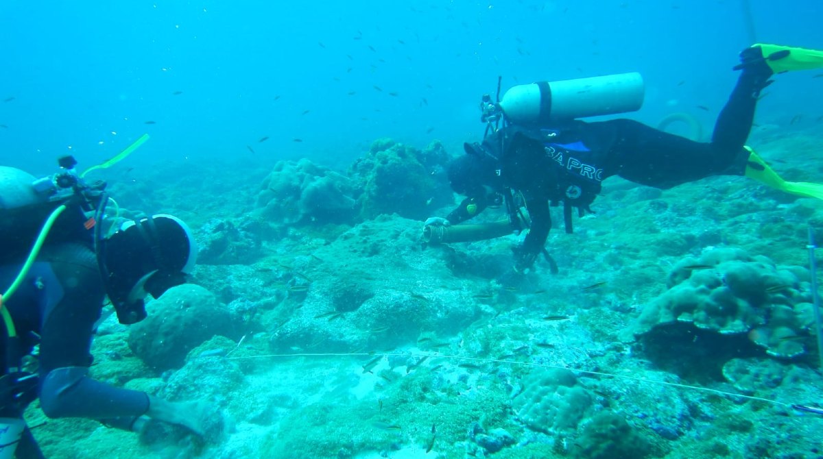 Los trabajos en el arrecife son desarrollados por expertos del Parque Galápagos. Foto: Ministerio del Ambiente
