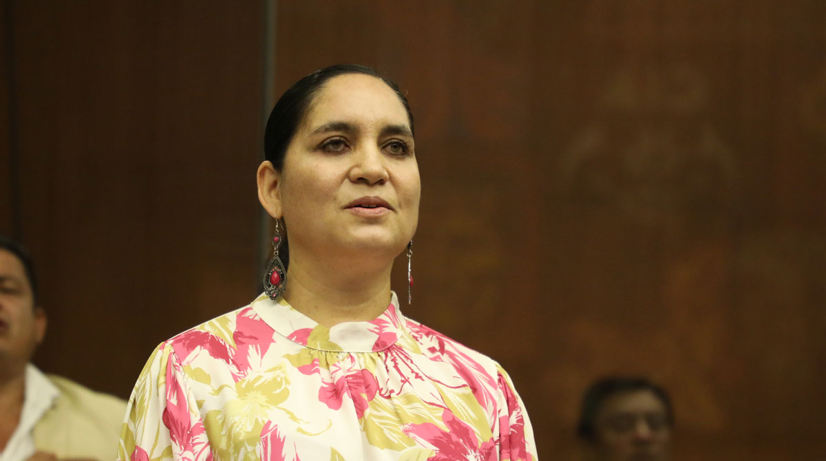 La bancada de los asambleístas correístas de Unes cuestionaron las supuestas acciones de los asesores de la legisladora Mireya Pazmiño, del ala rebelde de Pachakutik. Foto: Flickr Asamblea Nacional
