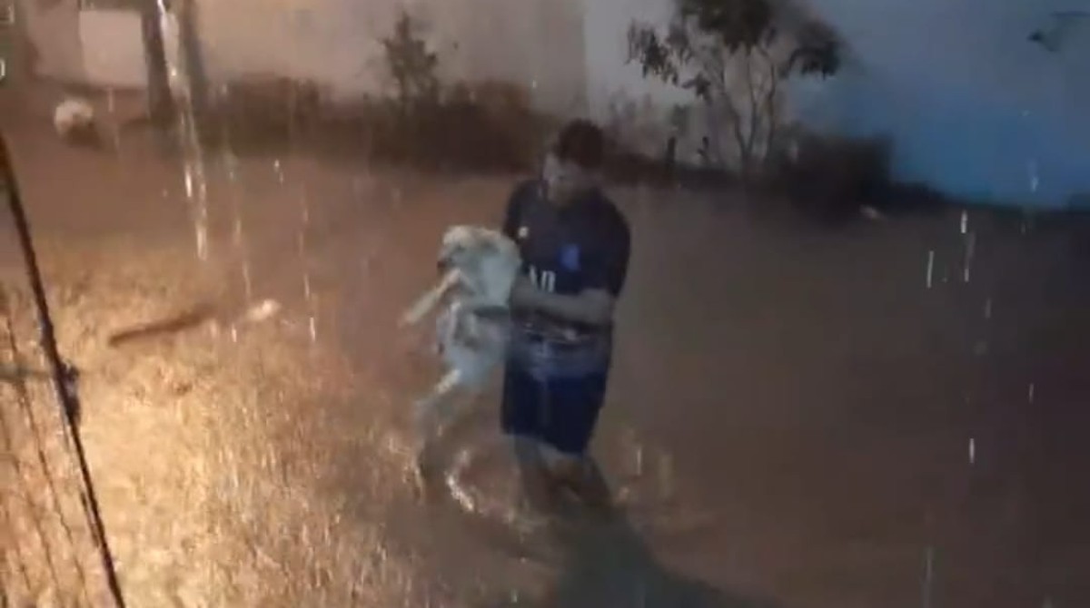 El video de un hombre que rescata a un perro en las inundadas calles de Guayaquil circuló por redes el martes 14 de marzo del 2023. Foto captura de video