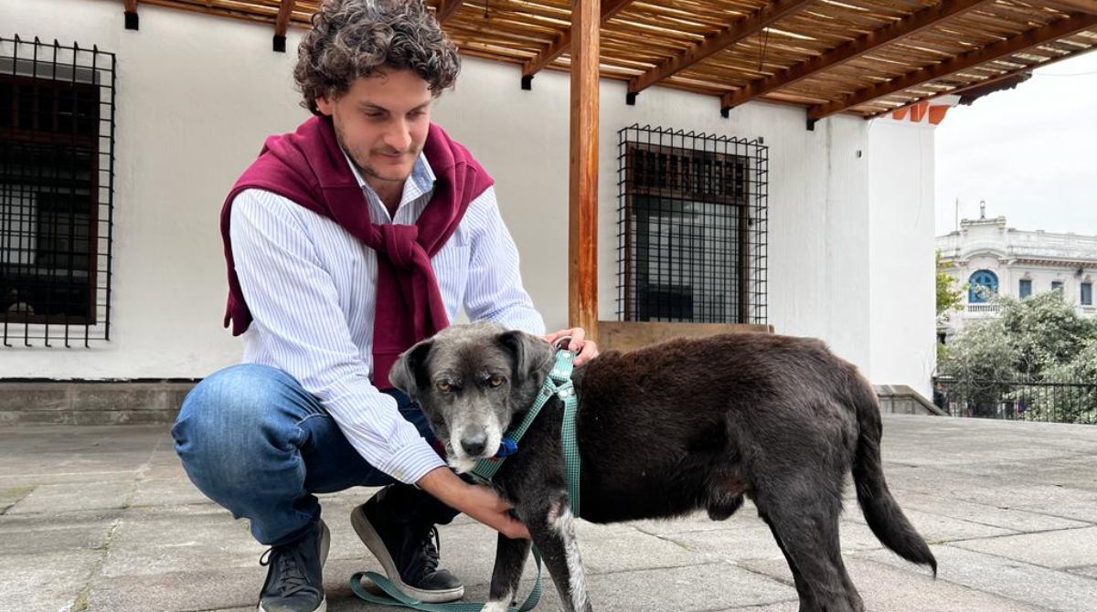 Santi tiene nuevo hogar. Eduardo Herdicia es el adoptante del perrito de la Presidencia. Foto: Patricio Terán / EL COMERCIO