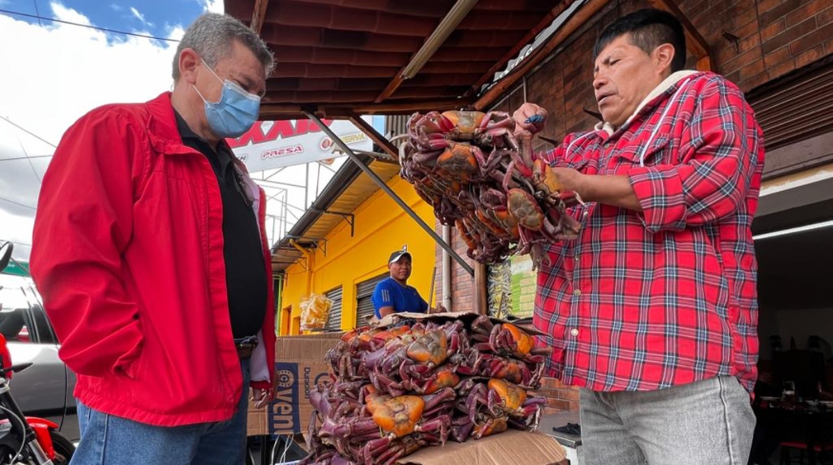 Sobre la avenida América y Mañosca en el norte de Quito, Cangrejo Pata Gorda, un negocio tradicional ya exhibe las sartas. El costo es de USD 18 por un atado de 14 cangrejos. Foto: Patricio Terán / EL COMERCIO