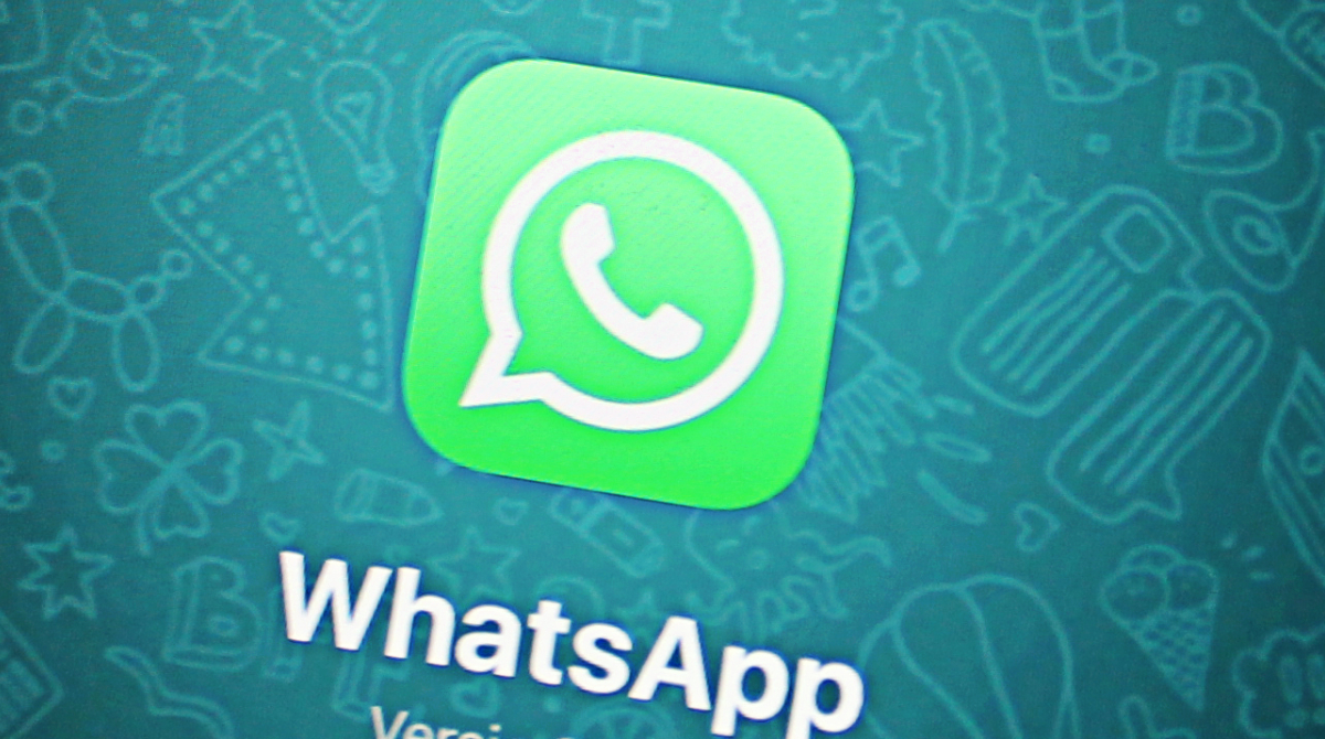 Whatsapp trabaja en la herramienta Canales. Foto: Pexels