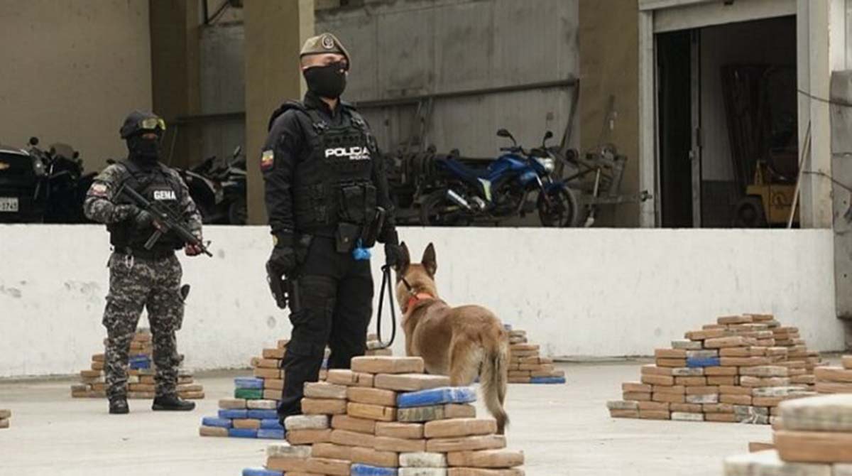 Imagen referencial. En el allanamiento realizado a una piladora de arroz en Yaguachi, la Policía Nacional se incautó con más de 1 millon de dosis de cocaína. Foto: Cortesía Policía Zona 8