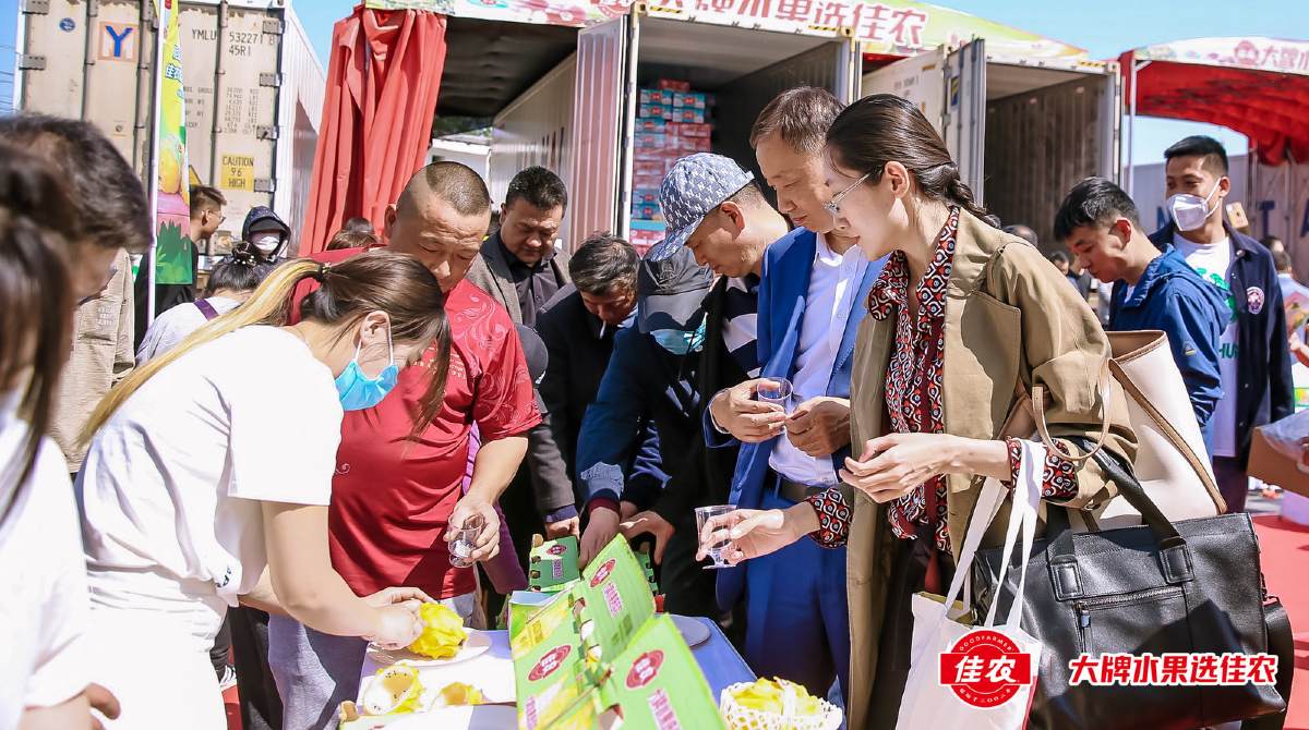 El primer envío oficial de pitahaya amarilla a China ya llegó a los mercados. La fruta se degustó en Beinjing. Foto: Cortesía / Embajada de Ecuador en China