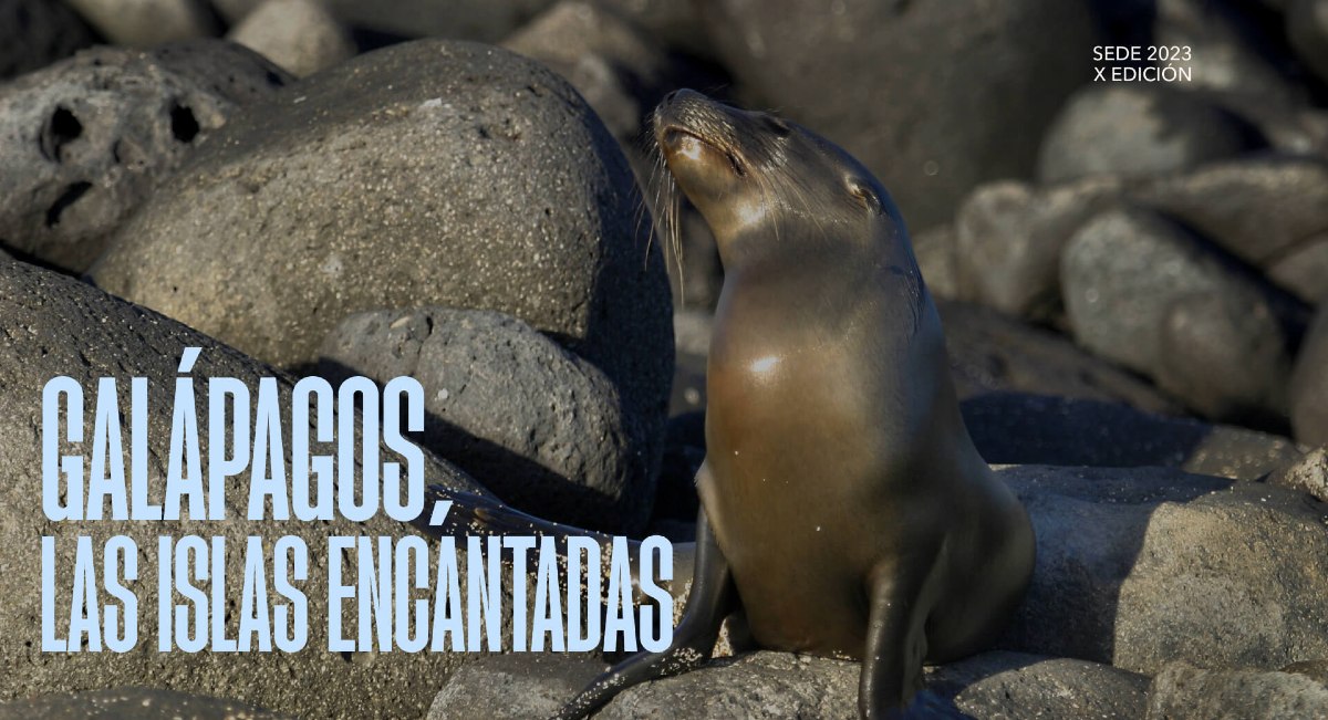 Galápagos será el punto de encuentro donde proyectos sostenibles de varios países serán reconocidos por Premios Verdes.