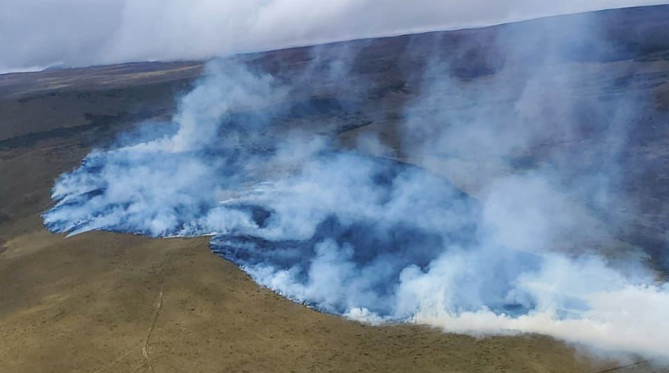 Un incendio forestal fue reportado en la Reserva Ecológica Antisana, este 12 de abril de 2023. Foto: Bomberos de Quito